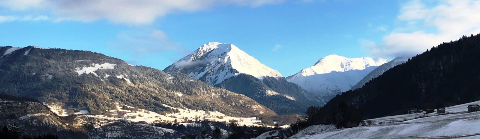 Auvergne Rhone Alpes Energy Environment Agency